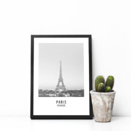 frame_paris_photo